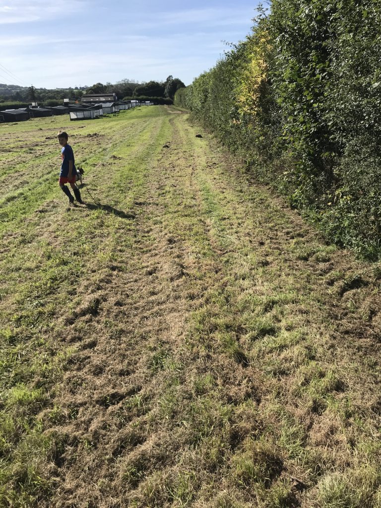 Finished Ground after Mole Plough